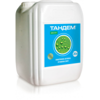 Тандем