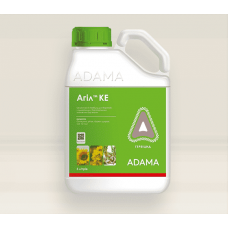 Агіл