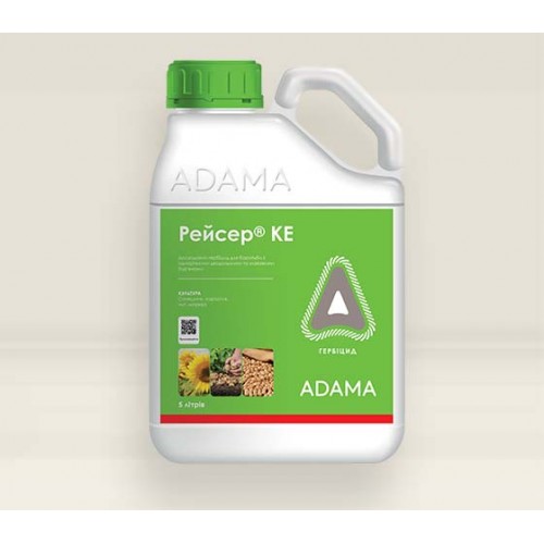 РЕЙСЕР® 