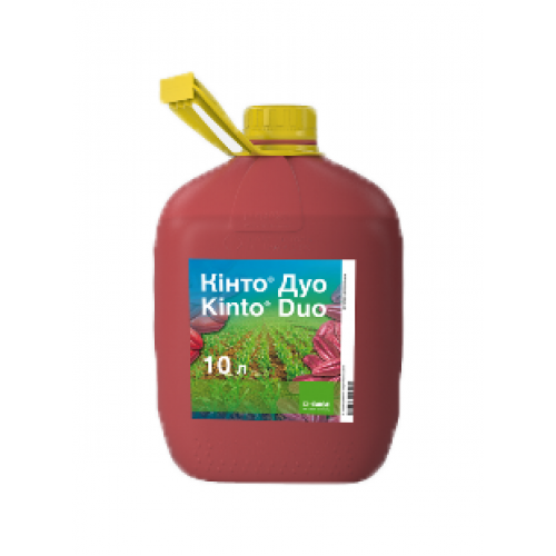 Кінто® Дуо