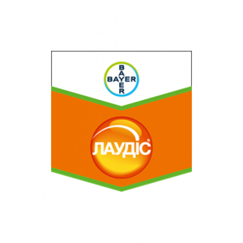 Лаудіс