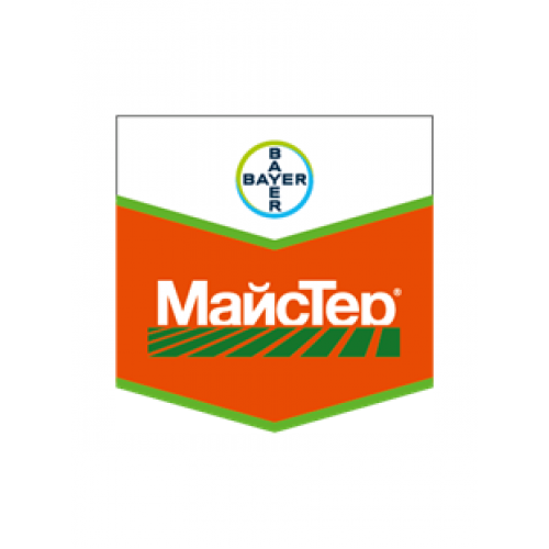 МайсТер