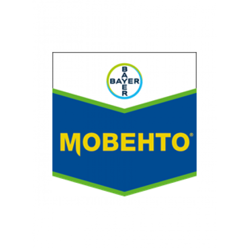 Мовенто