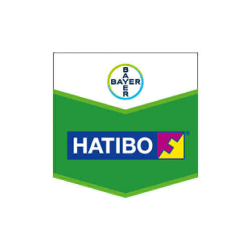 Натіво