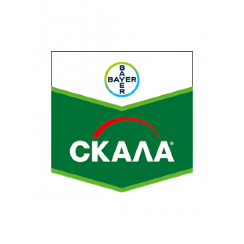Скала