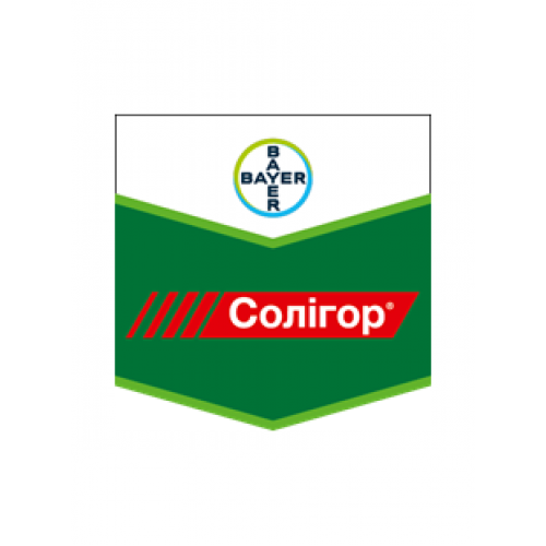 Солігор