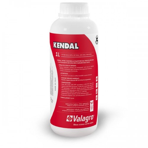 Kendal / Кендал