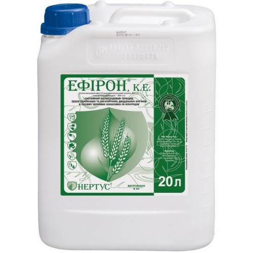 Ефірон