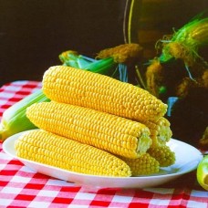 Кукурудза цукрова СПІРІТ