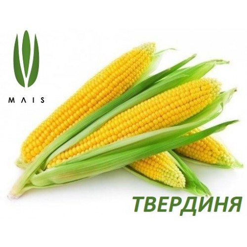 Кукуруза ТВЕРДИНЯ 