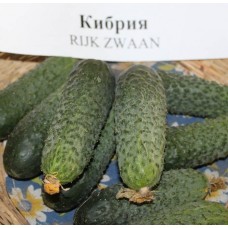 Кібрія F1