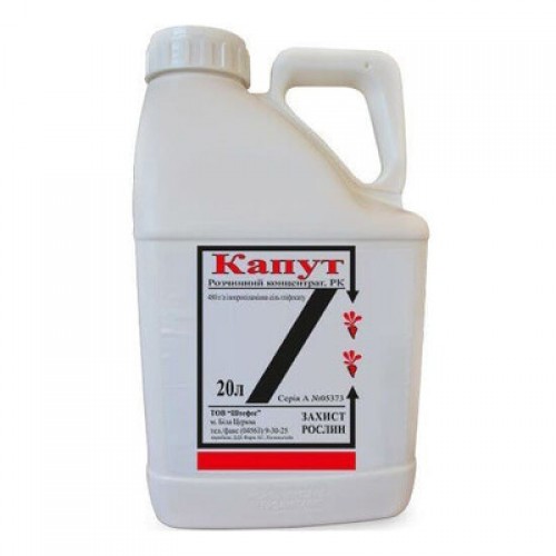 Капут