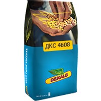 Дкс 4608 Max Yield